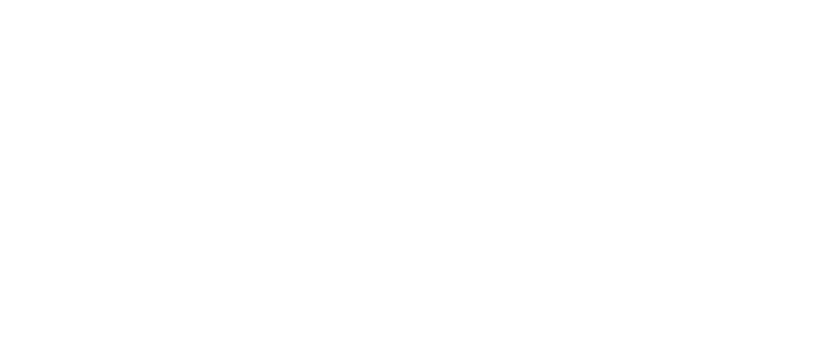 HOME LOGO png blanc vert